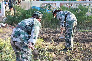 上海特训学校组织学生进行农耕实践活动
